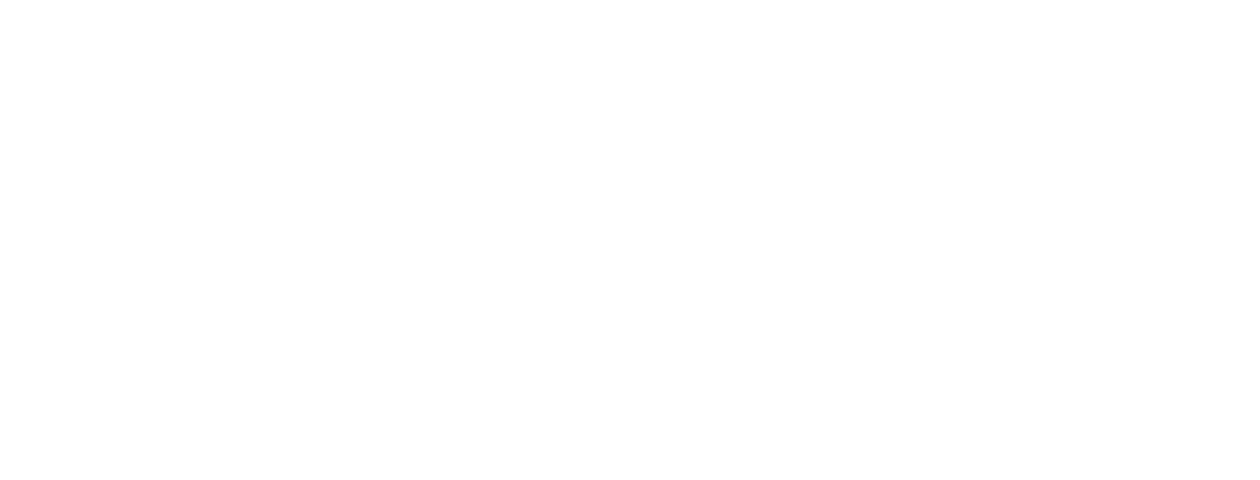 VK Boat Experience